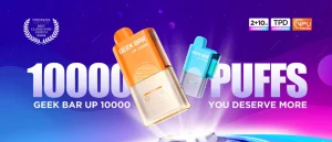 GEEK BAR UP 10000